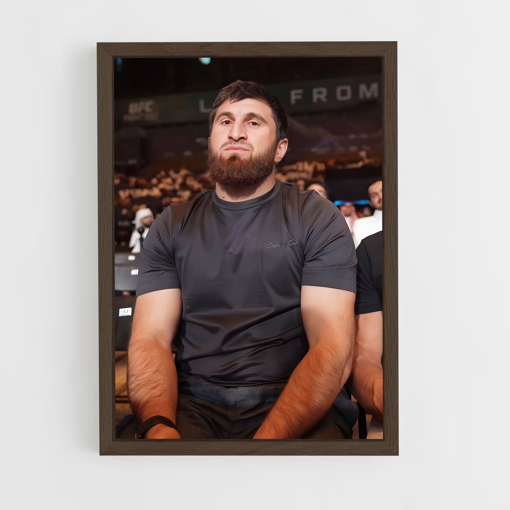 Poster Magomed de ankalaev – affiche MMA (vue 5)